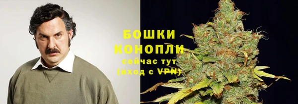 сатива Переславль-Залесский