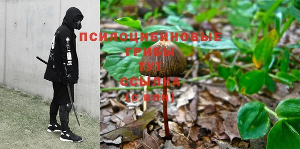сатива Переславль-Залесский